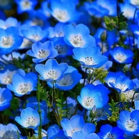 Trừ ai cần trừ nhaaa