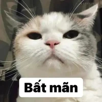 em mik