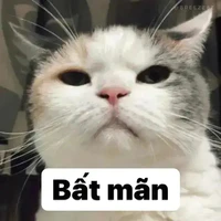 em mik