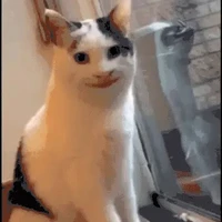 bff ( người chơi hệ bay)