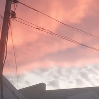 : Cô giáo