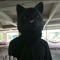 Cartoon Cat