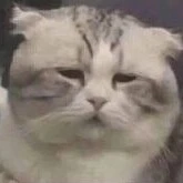 Tác giả nghiện H