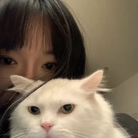 Dương Bảo Bình