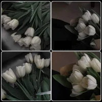 Tác Giả Hướng Nội Thương:))