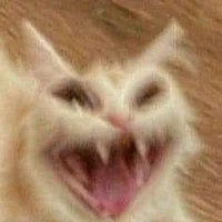 Đồng nghiệp nghiêm túc