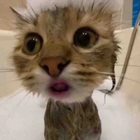 Tg mãi mận=)❤️❤️