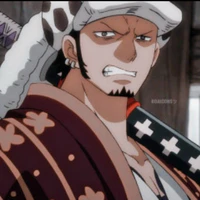 Law