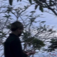 Huỳnh Thiên Tân/Siro/Rô