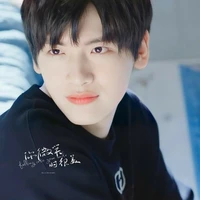 Giản Dương ┆CK_Sunflower_Jungle