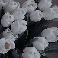 All