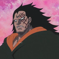Monkey D dragon