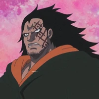 Monkey D dragon