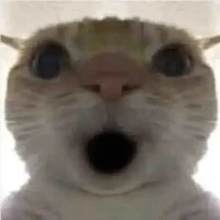 t/g cute nè