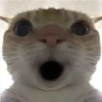 t/g cute nè