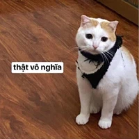 Lính Hồng Quân Liên Xô