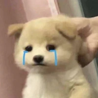 T/G bê đê nè