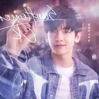 Giản dương _CK_ Sunflowe