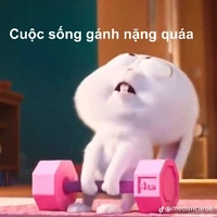 tác giả hướng tùm lum