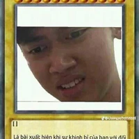 đa NV