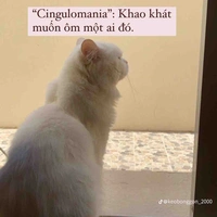 Diệp Âm-Thư kí (2)