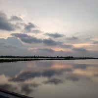 (All)- những ai cần trừ