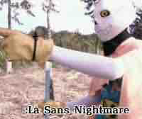 Dream sans