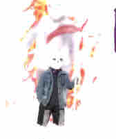 Lost sans