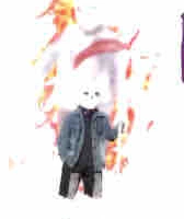 Lost sans
