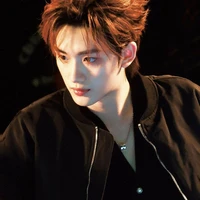 Đinh Trình Hâm(anh)