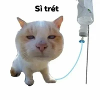 Tác giả đệp zaiii