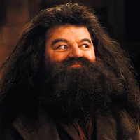 Rubeus Hagrid