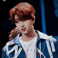 Đinh Trình Hâm (anh)
