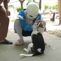 Sans
