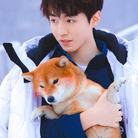 VTK_Goodboy_anh