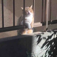 Học sinh năm nhất :)