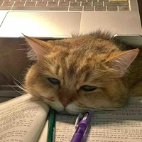 Đàn anh đàn chị :)