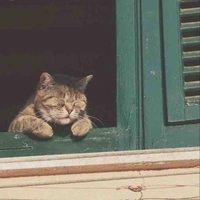 Học sinh năm hai ;)