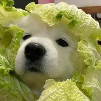 tác giả đây (≧∇≦)/