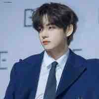 Kim taehyung / V /