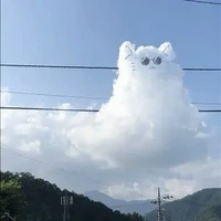 tg_ Hi lạc đường