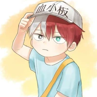 Todoroki Shouto ( lúc nhỏ)