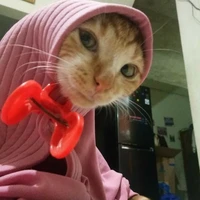 tác giả
