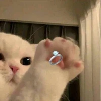 Miedayy (tác giả)