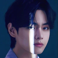Kim TaeHyung [ V ]