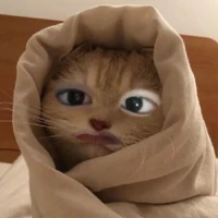 t/g