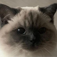 Mun_ Lôi Đại Tiễn <Y>