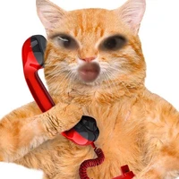 Tác giả bán dâm