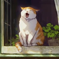 Mèo