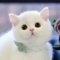miu